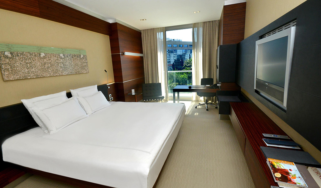 Executive Oda Şehir Manzaralı